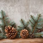 Christmas tree branches with cones on a dark wooden Board against a gray concrete wall.